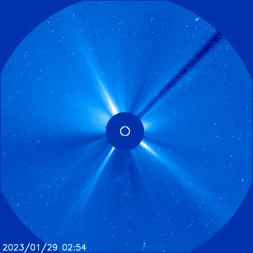 Comet 96P Survives Close Approach to Sun